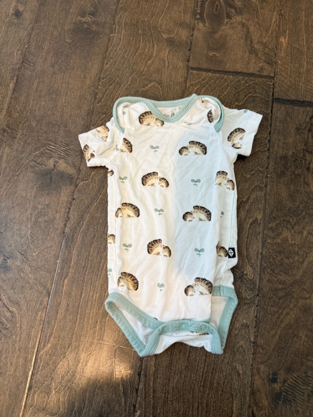 Kyte Baby One-Piece Bodysuit in with Hedgehogs